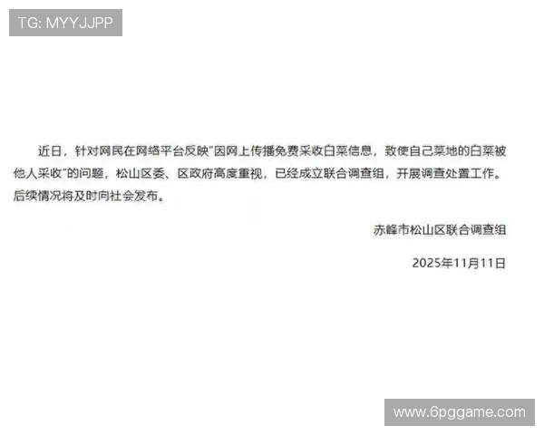 白菜网贴吧：分享最新白菜信息与交流心得的平台